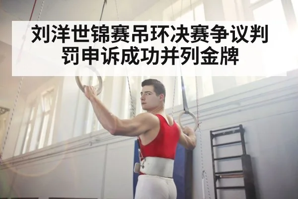 刘洋世锦赛吊环决赛争议判罚申诉成功并列金牌