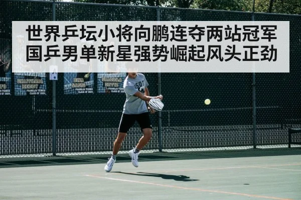 世界乒坛小将向鹏连夺两站冠军 国乒男单新星强势崛起风头正劲